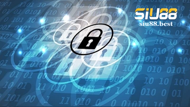 Nội dung chính của chính sách bảo mật Siu88