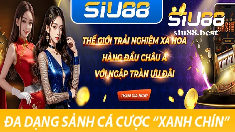 Các sảnh game có thể chơi sau khi đăng nhập SIU88 Các sảnh game có thể chơi sau khi đăng nhập SIU88