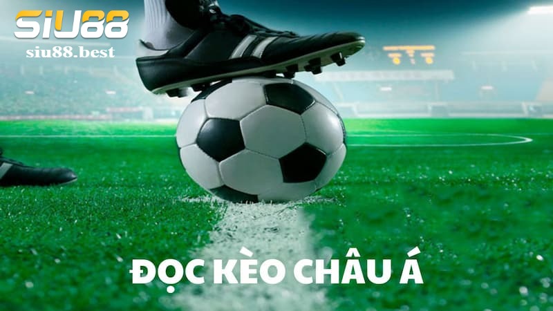 Cách đọc kèo Handoicap chuẩn xác Cách đọc kèo Handoicap chuẩn xác