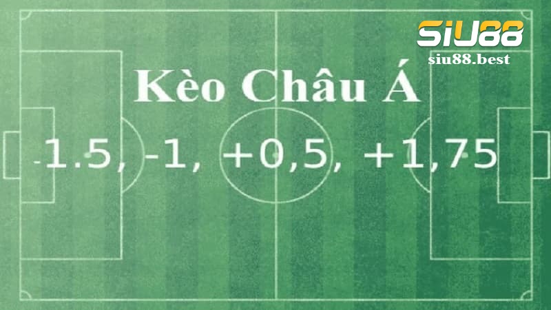 Kinh nghiệm soi kèo Handicap hiệu quả Kinh nghiệm soi kèo Handicap hiệu quả