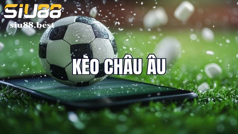 Các trường hợp thắng thua trong kèo châu Âu Các trường hợp thắng thua trong kèo châu Âu