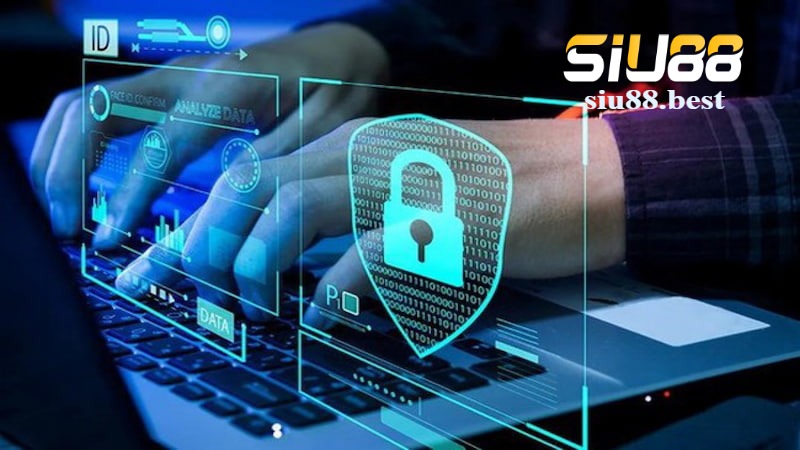 Những loại quyền riêng tư Siu88