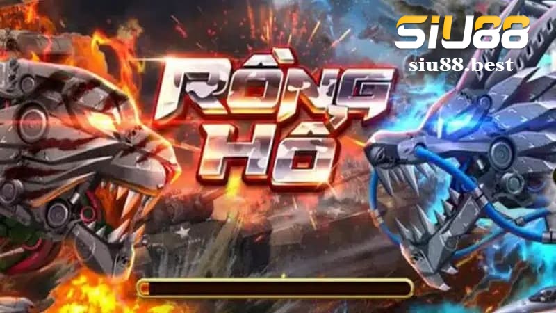 Tổng quan cơ bản về sảnh cược Rồng Hổ Tổng quan cơ bản về sảnh cược Rồng Hổ