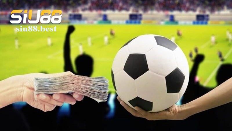 Các bộ môn thể thao hot nhất tại Siu88 Các bộ môn thể thao hot nhất tại Siu88