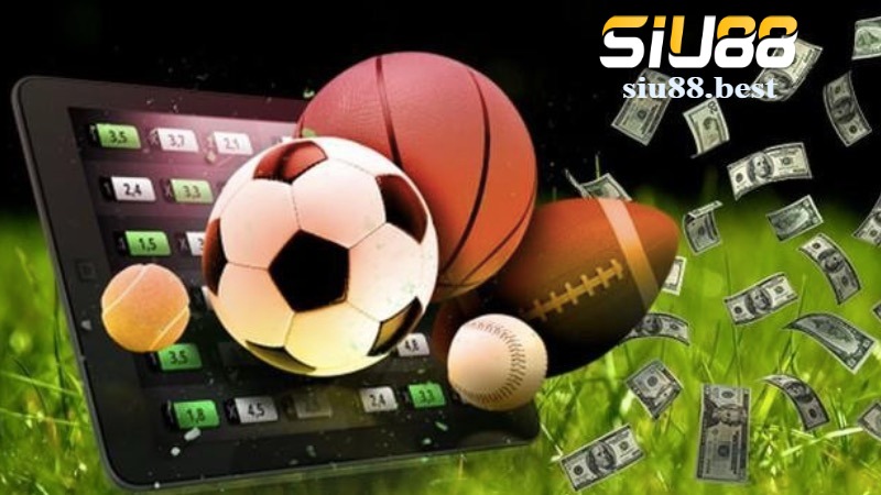 Giới thiệu về thể thao Siu88 – Sân chơi cá cược đỉnh cao Giới thiệu về thể thao Siu88 – Sân chơi cá cược đỉnh cao
