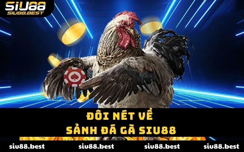 Đôi nét về sảnh đá gà SIU88
