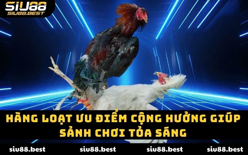 Hàng loạt ưu điểm cộng hưởng giúp sảnh chơi tỏa sáng